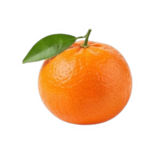 "Tangerine Vagina" Sticker