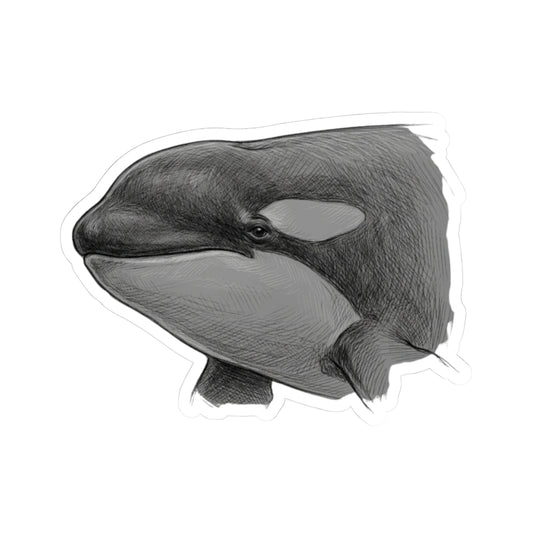 "Pencil Sketch Art Orca" Sticker