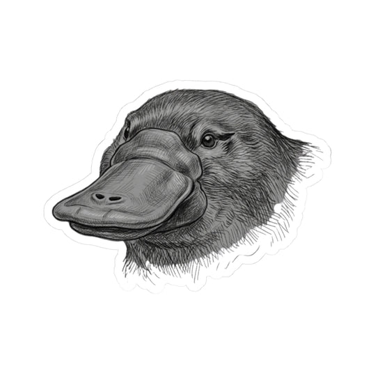 "Pencil Sketch Art Platypus" Sticker