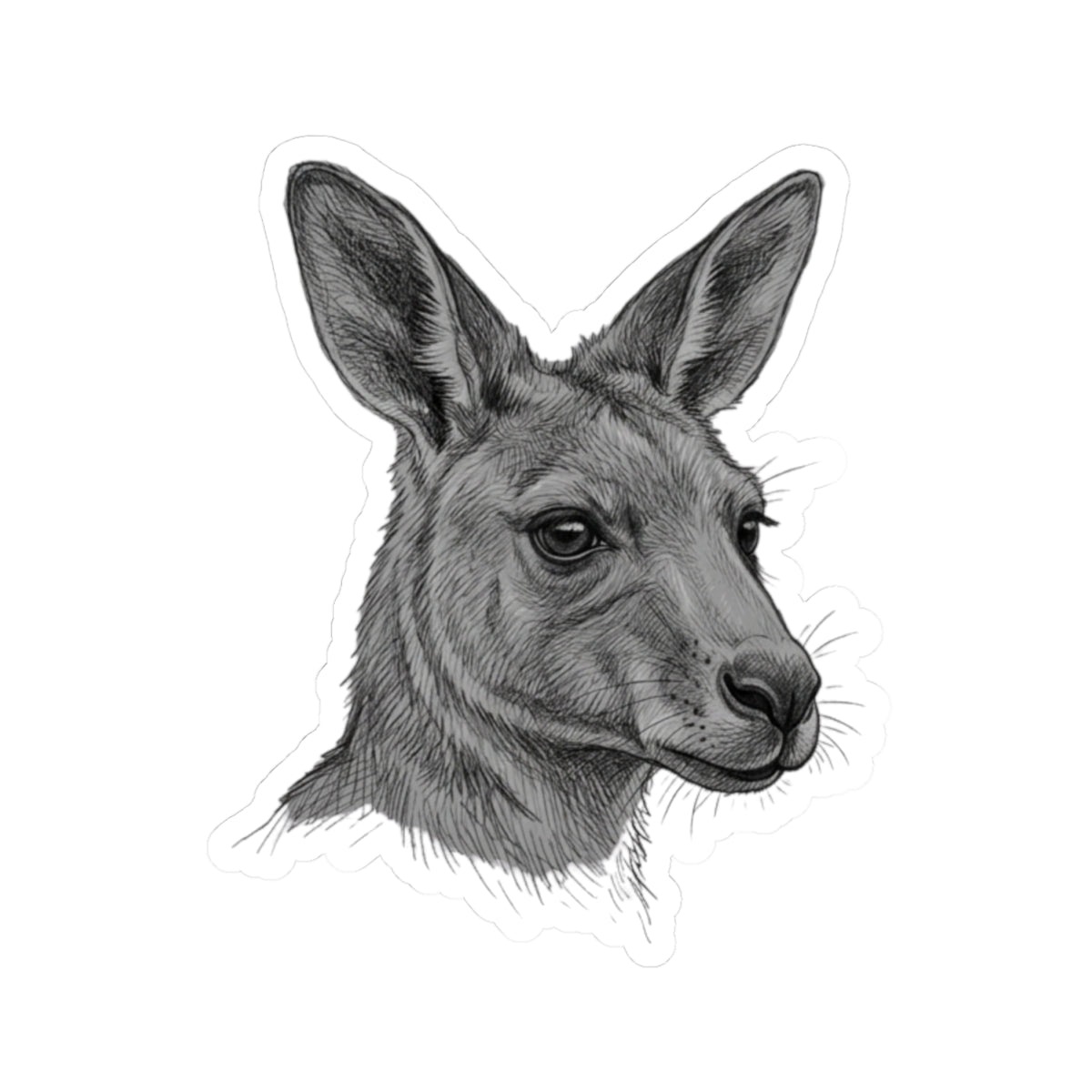 "Pencil Sketch Art Kangaroo" Sticker