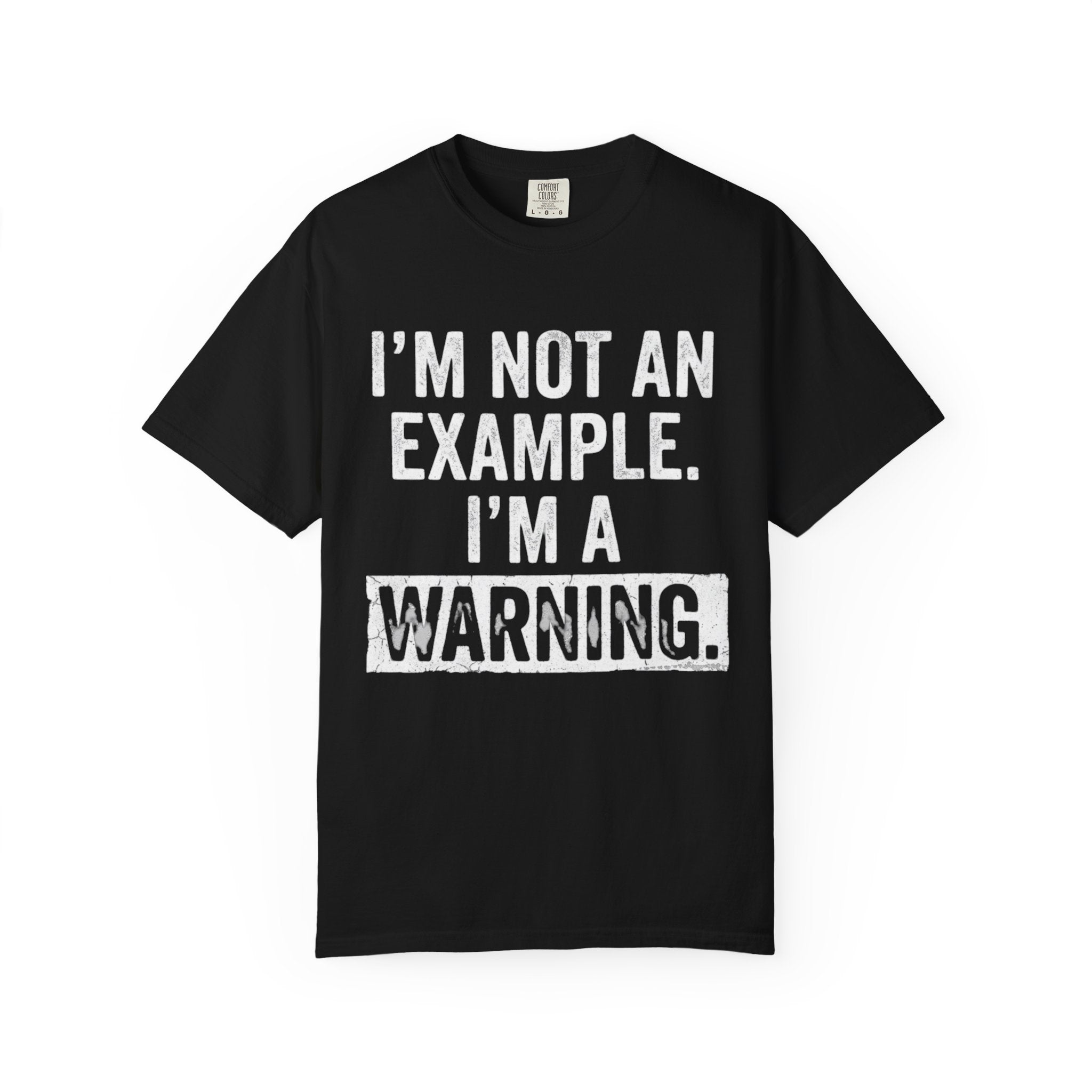 "I'm Not An Example" Unisex Garment-Dyed Tee