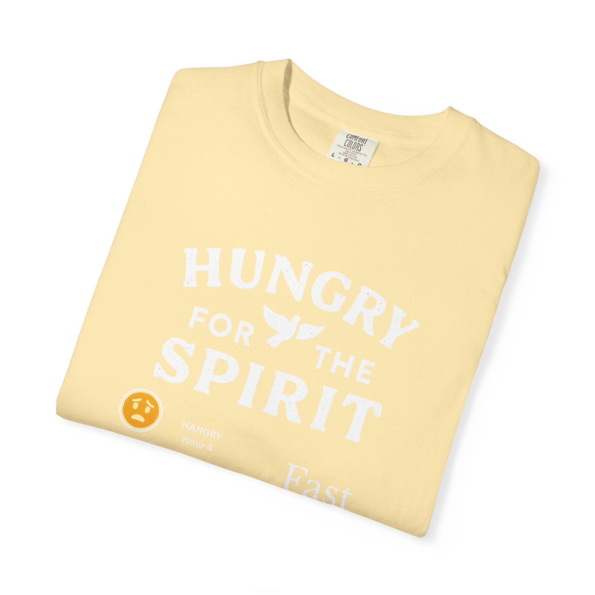 "Fast Sunday Mood Meter" Unisex Garment-Dyed T-shirt