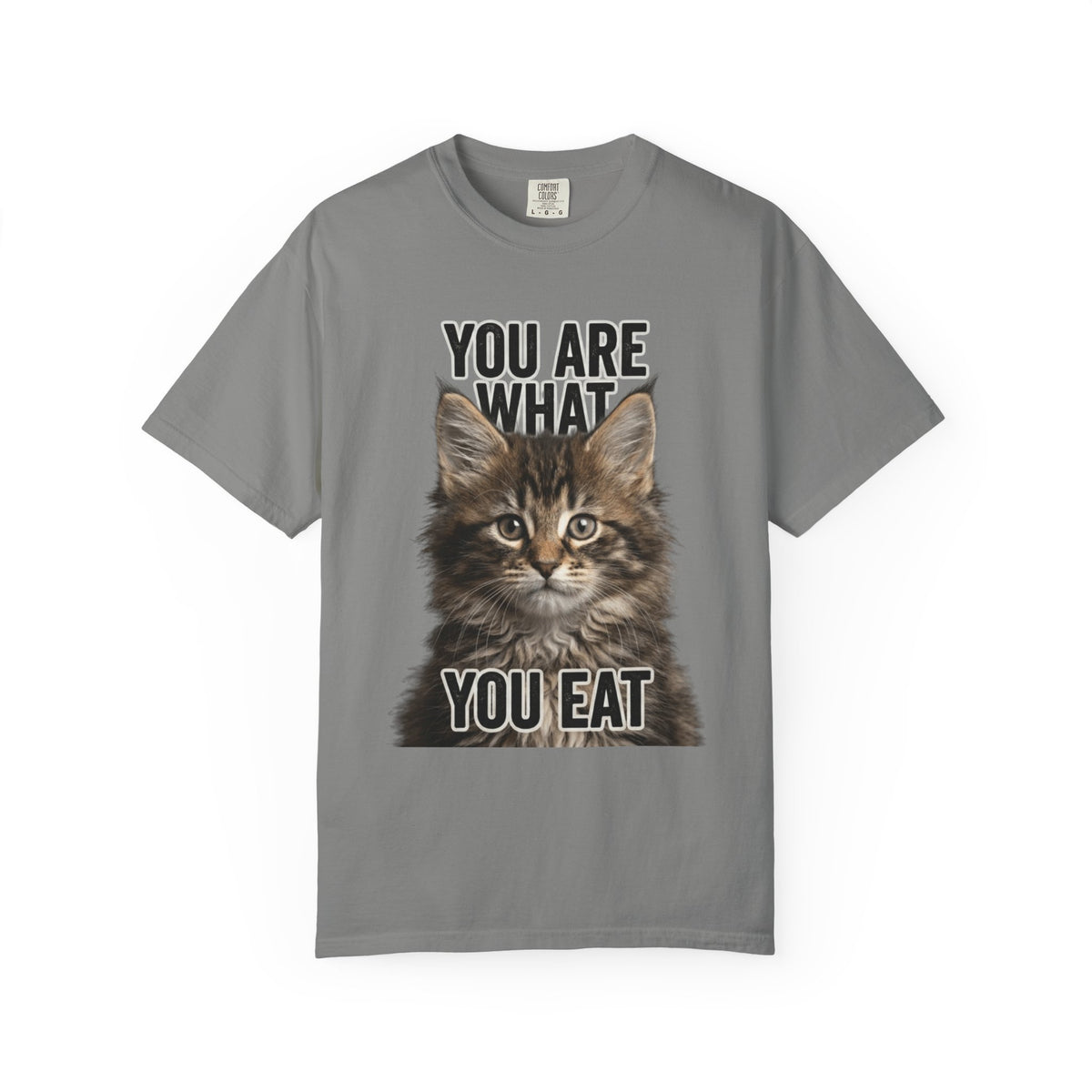 Color: Granite | You Are What You Eat - Cat 4 Unisex Garment-Dyed T-shirt