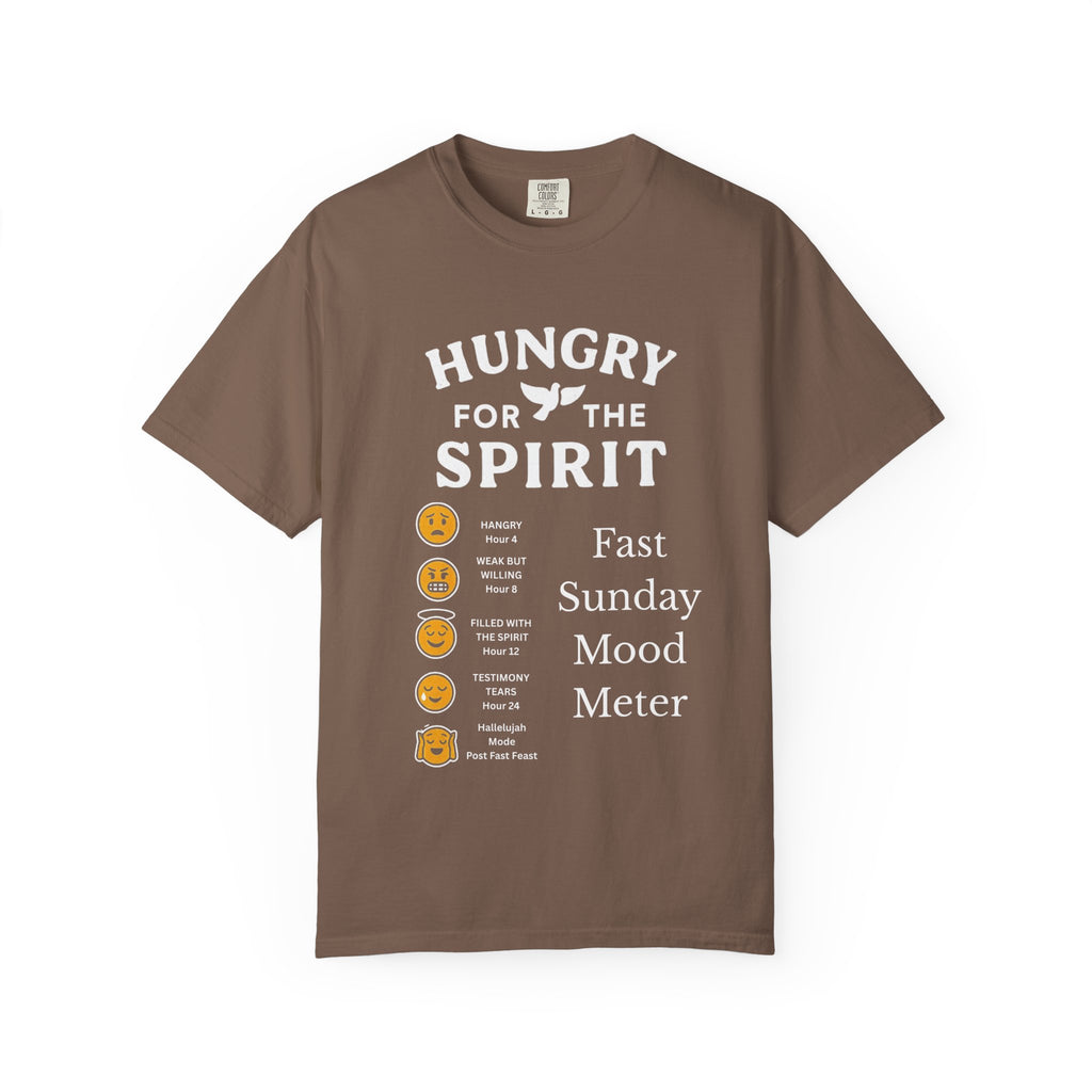 "Fast Sunday Mood Meter" Unisex Garment-Dyed T-shirt