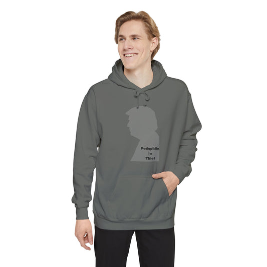 Wolf in Sheep's Clothing Reality Check | Garment-Dyed Hoodie — AttitudeShirts