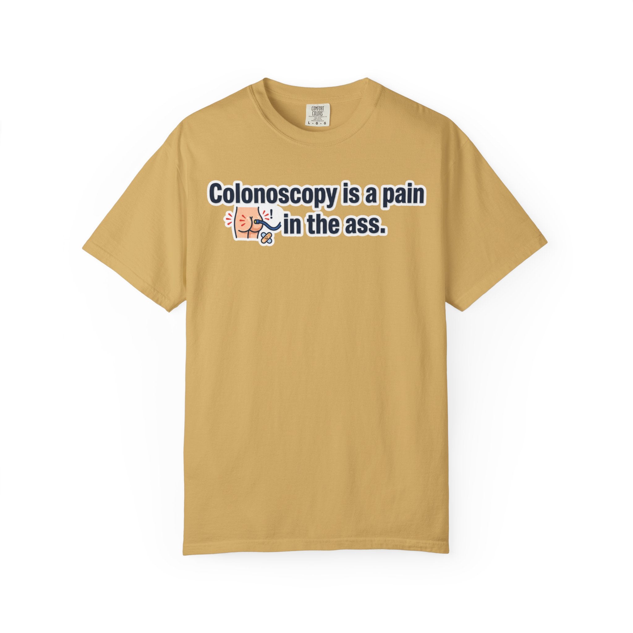 "Pain in the Ass" Unisex Garment-Dyed Tee
