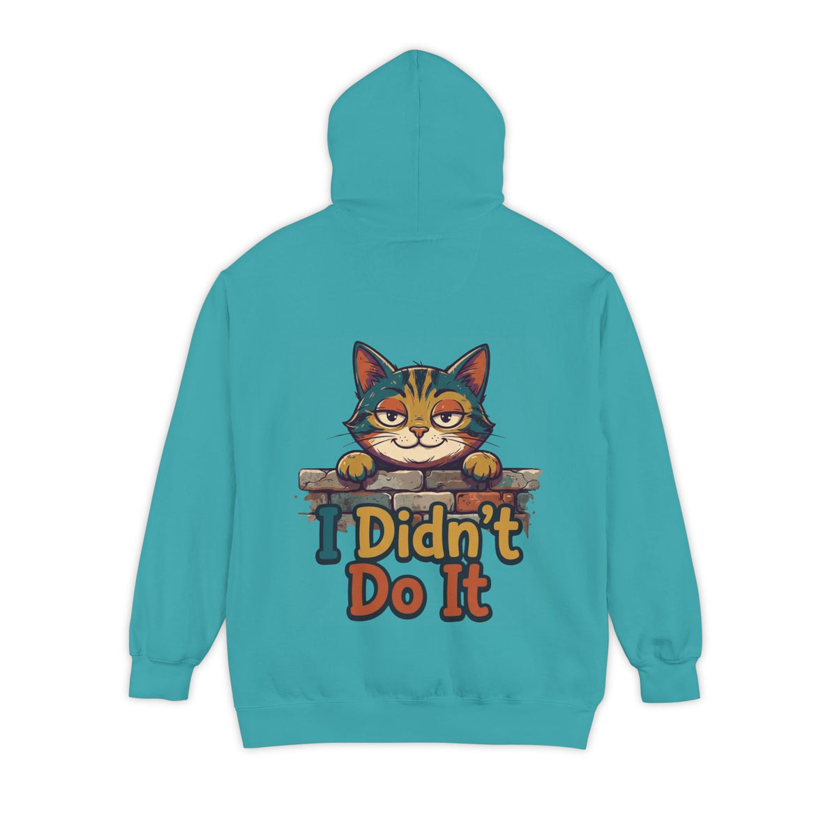 Color: Seafoam | I Didn't Do It Garment-Dyed Hoodie