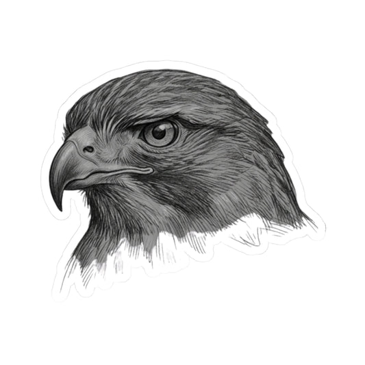 "Pencil Sketch Art Red-Tailed Hawk" Sticker
