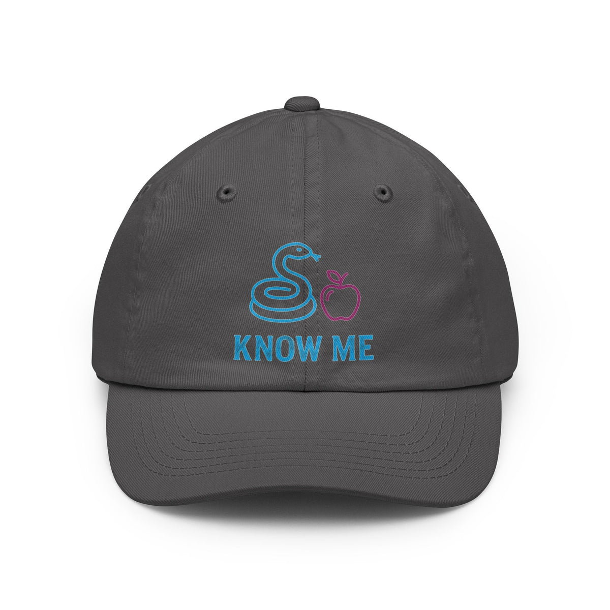 Color: Charcoal | Good Book Series Know Me In The Biblical Sense Dad Hat