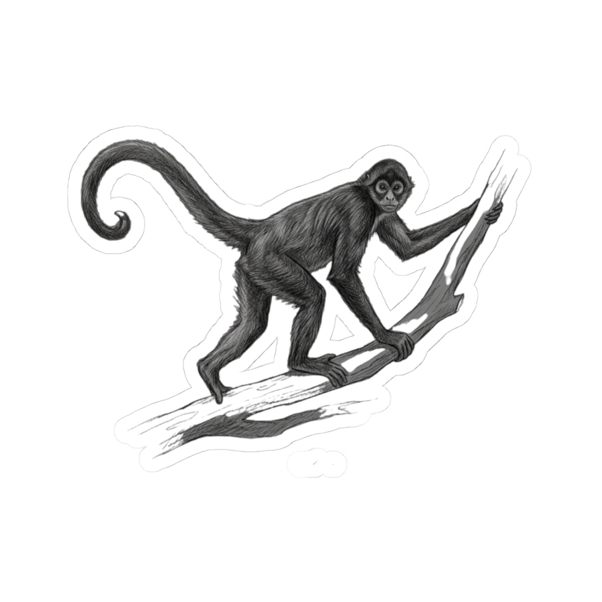 "Pencil Sketch Art Spider Monkey" Sticker — Main