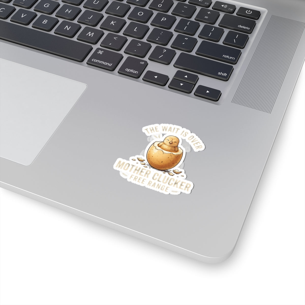 "The Wait is Over" Sticker — Main