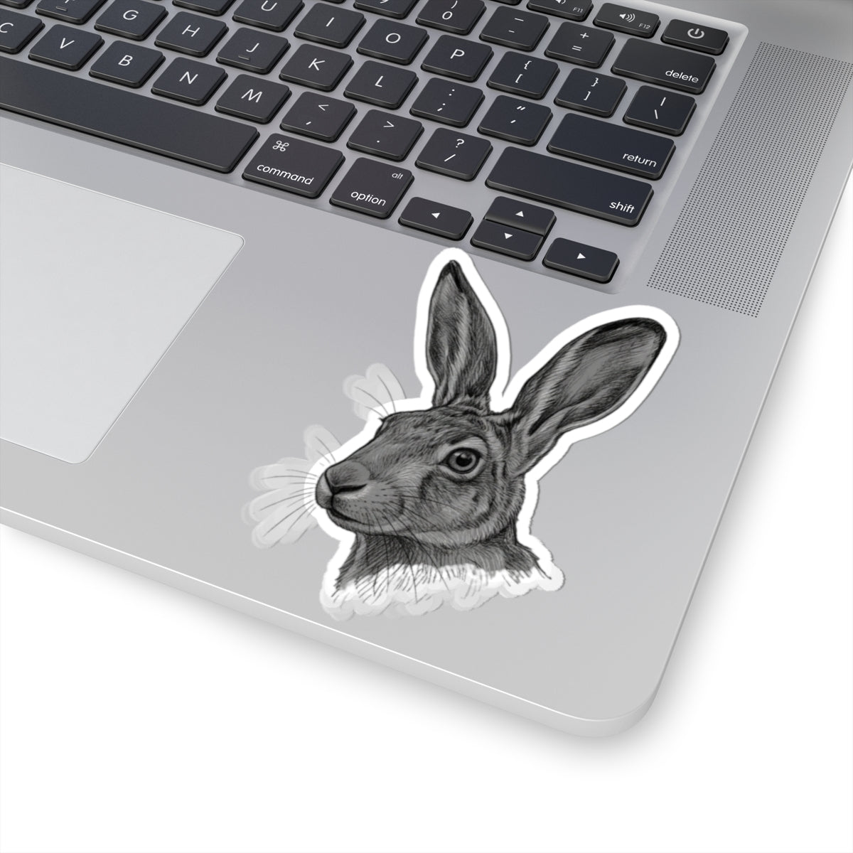 "Pencil Sketch Art Jack Rabbit" Sticker
