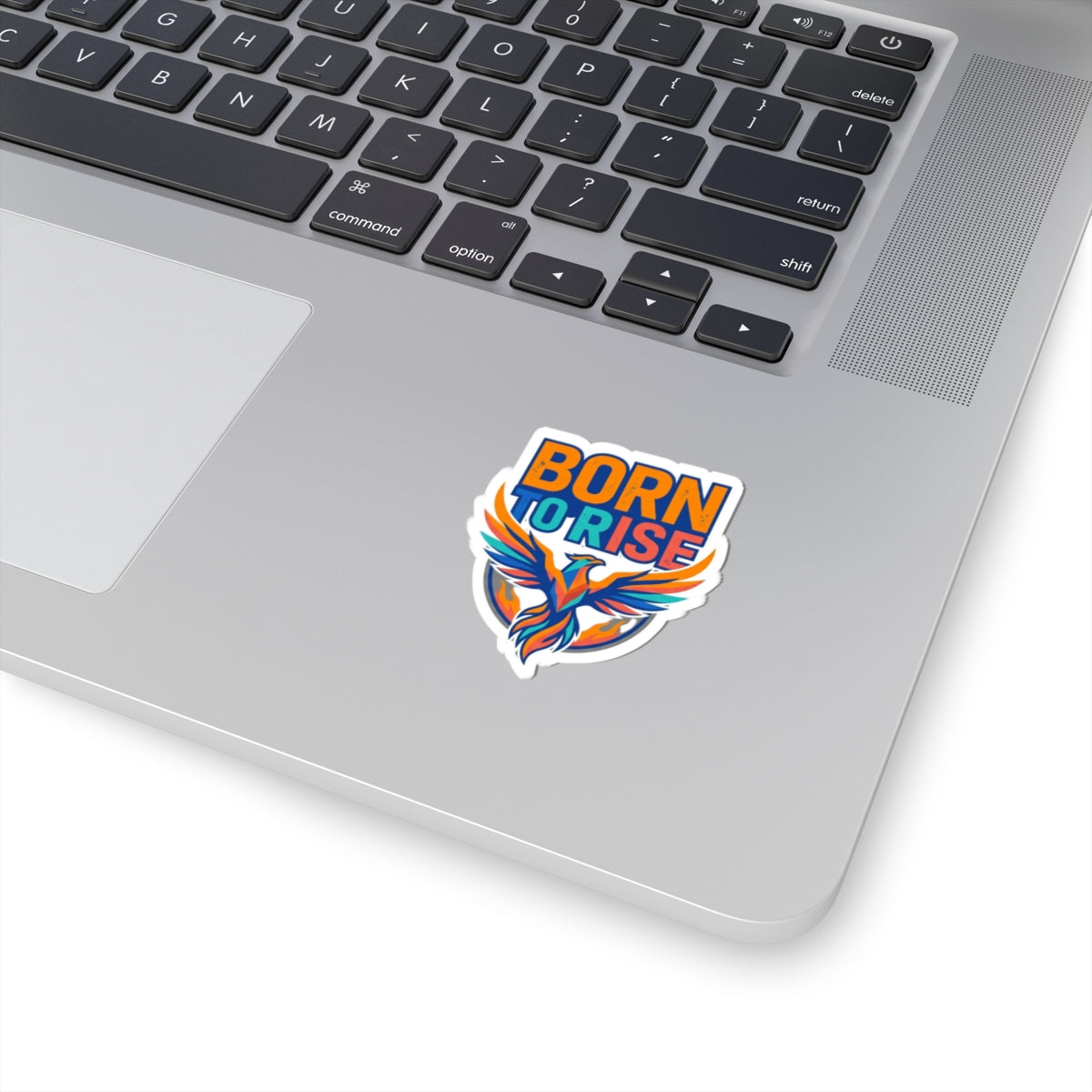 "Born to Rise" Sticker — Main