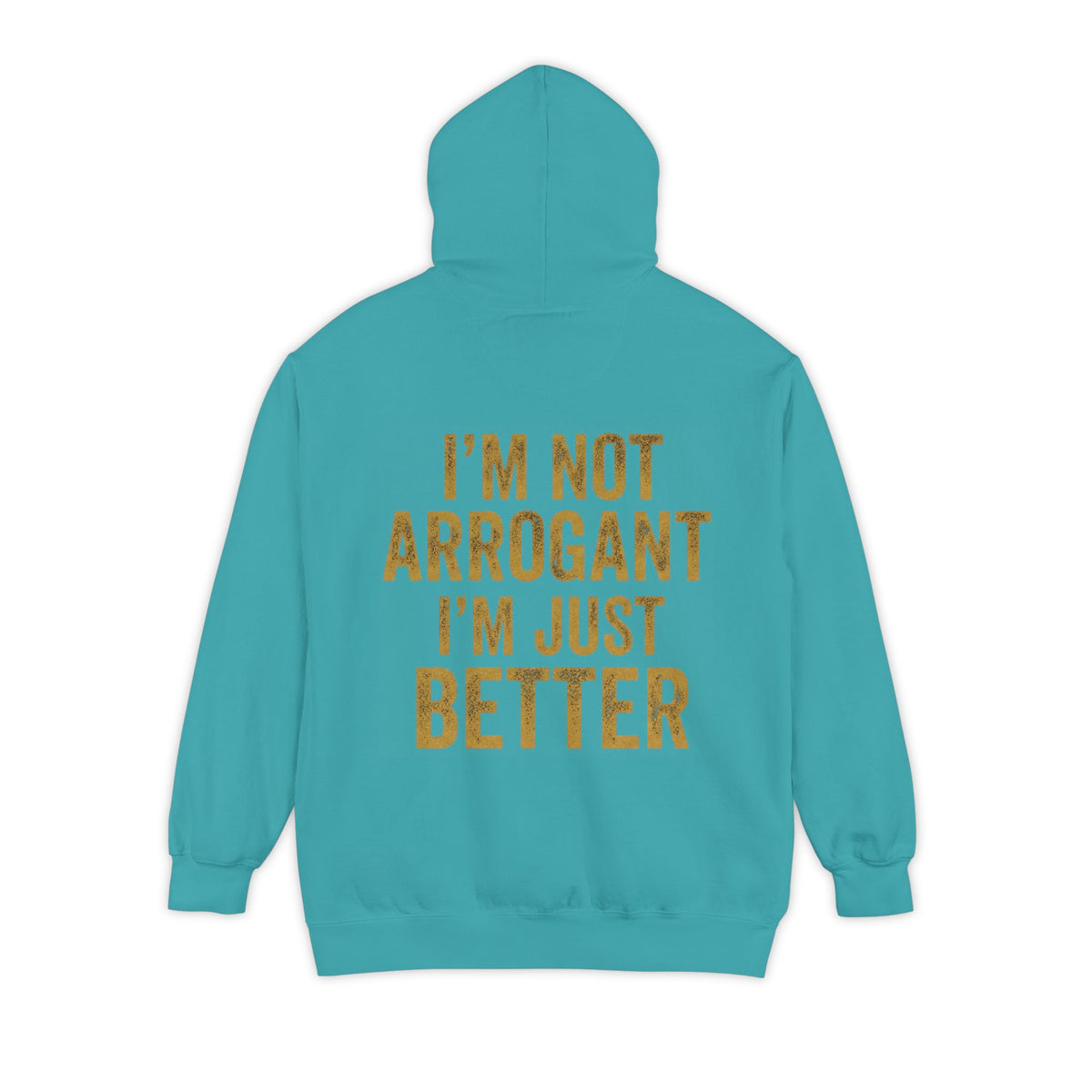 Color: Seafoam | I'm Not Arrogant Garment-Dyed Hoodie