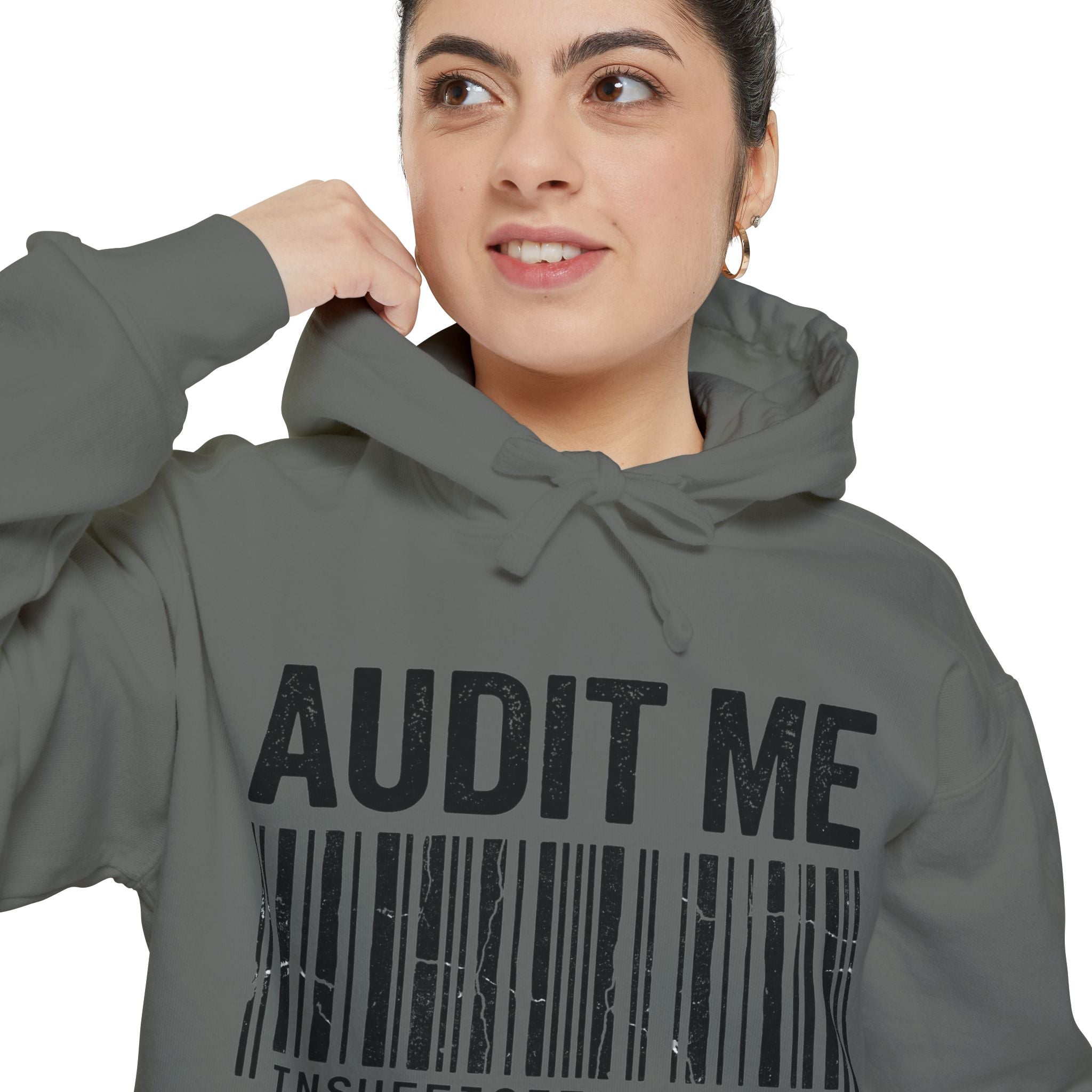 Audit Me, I Dare You | Garment-Dyed Hoodie — AttitudeShirts