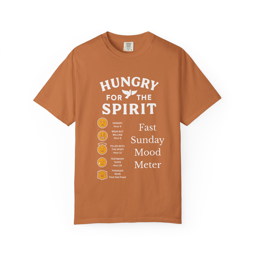 "Fast Sunday Mood Meter" Unisex Garment-Dyed T-shirt