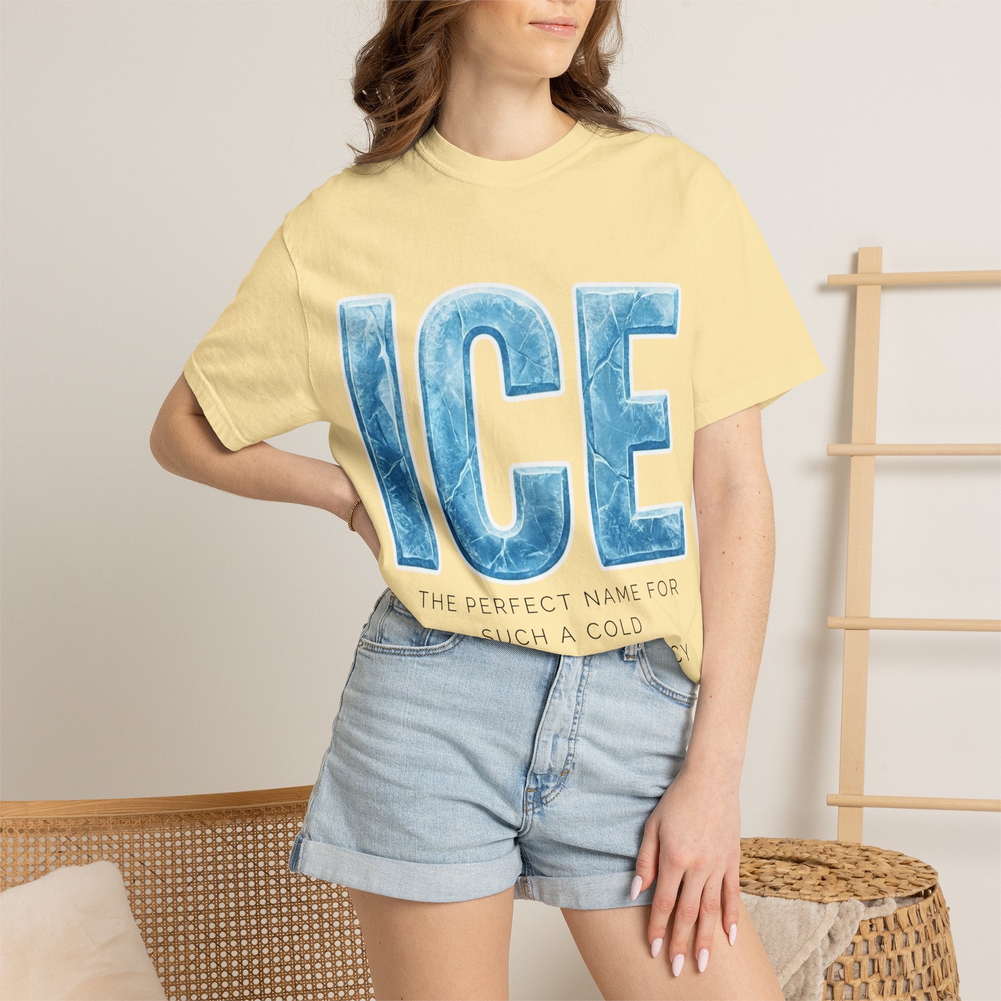 "ICE Cold Government" Unisex Garment-Dyed T-shirt