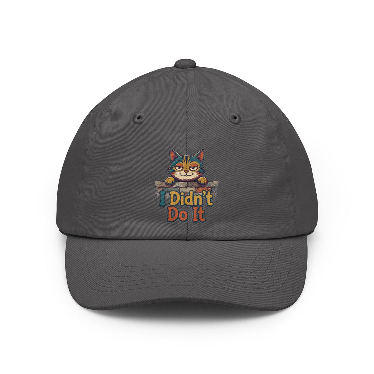Color: Charcoal | I Didn't Do It Dad Hat