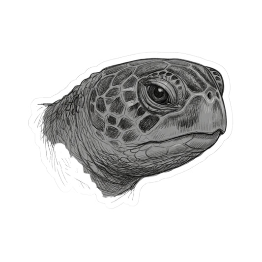 "Pencil Sketch Art Sea Turtle" Sticker