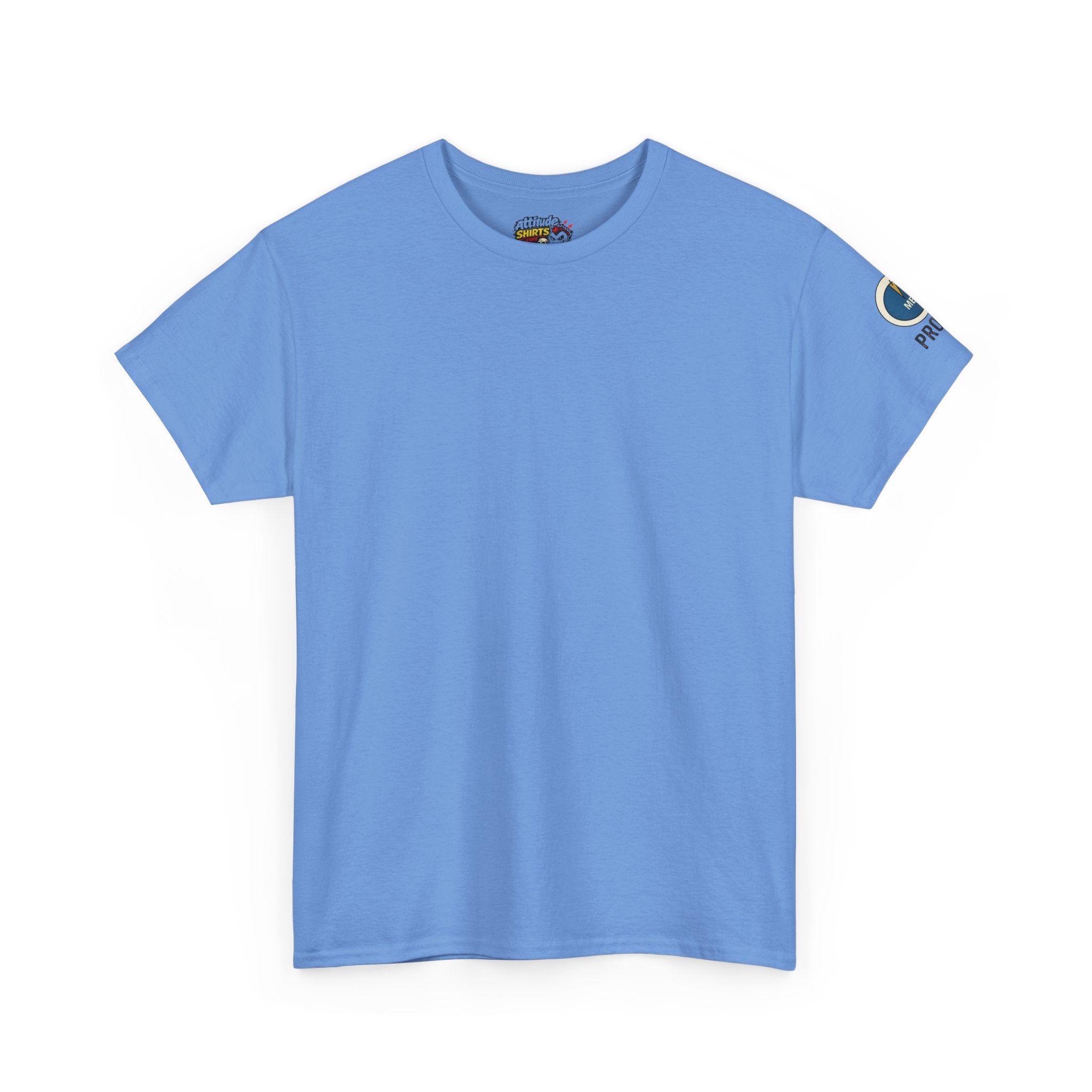 "I Did the Presentation" Premium Graphic Tee