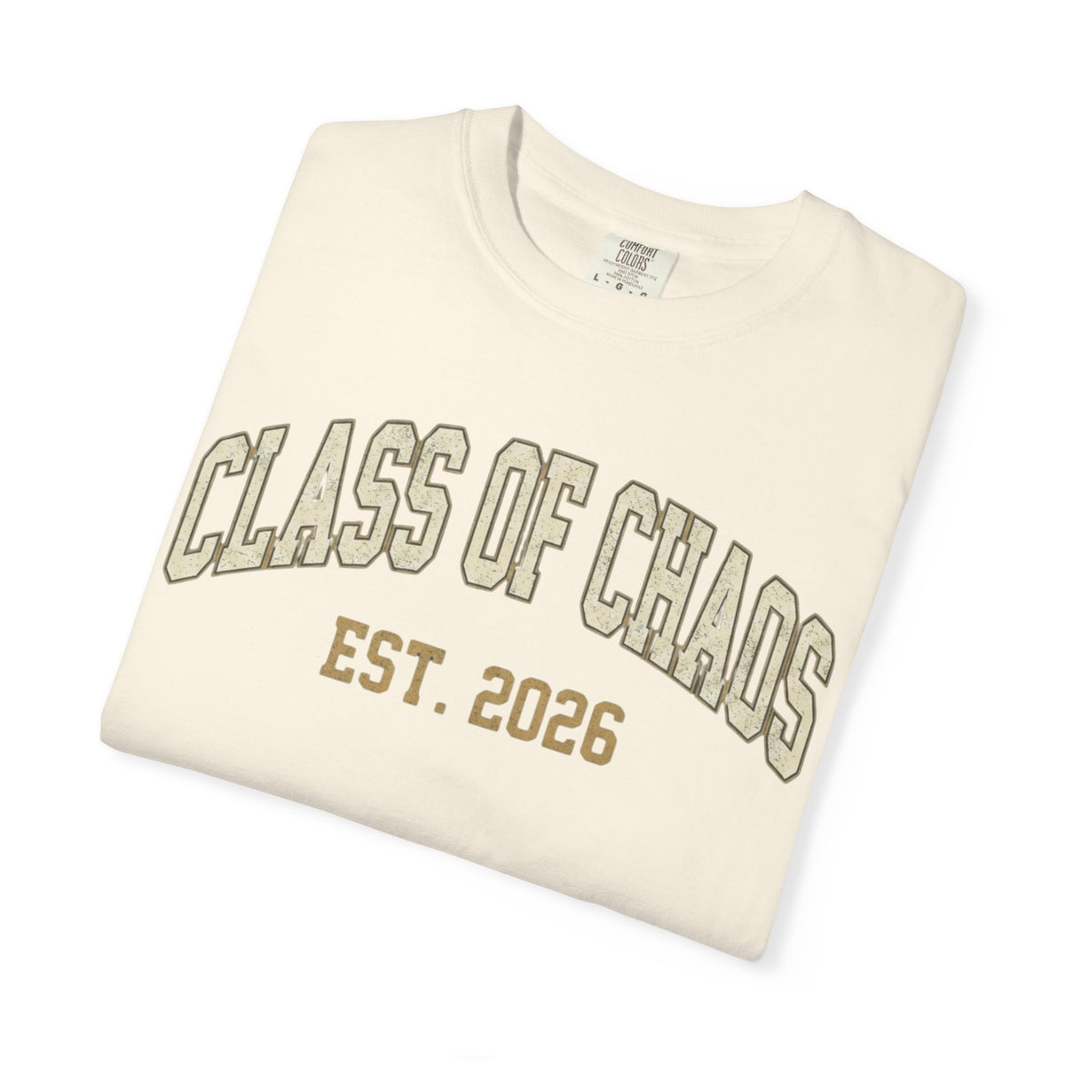 "Class of Chaos" Unisex Garment-Dyed Tee