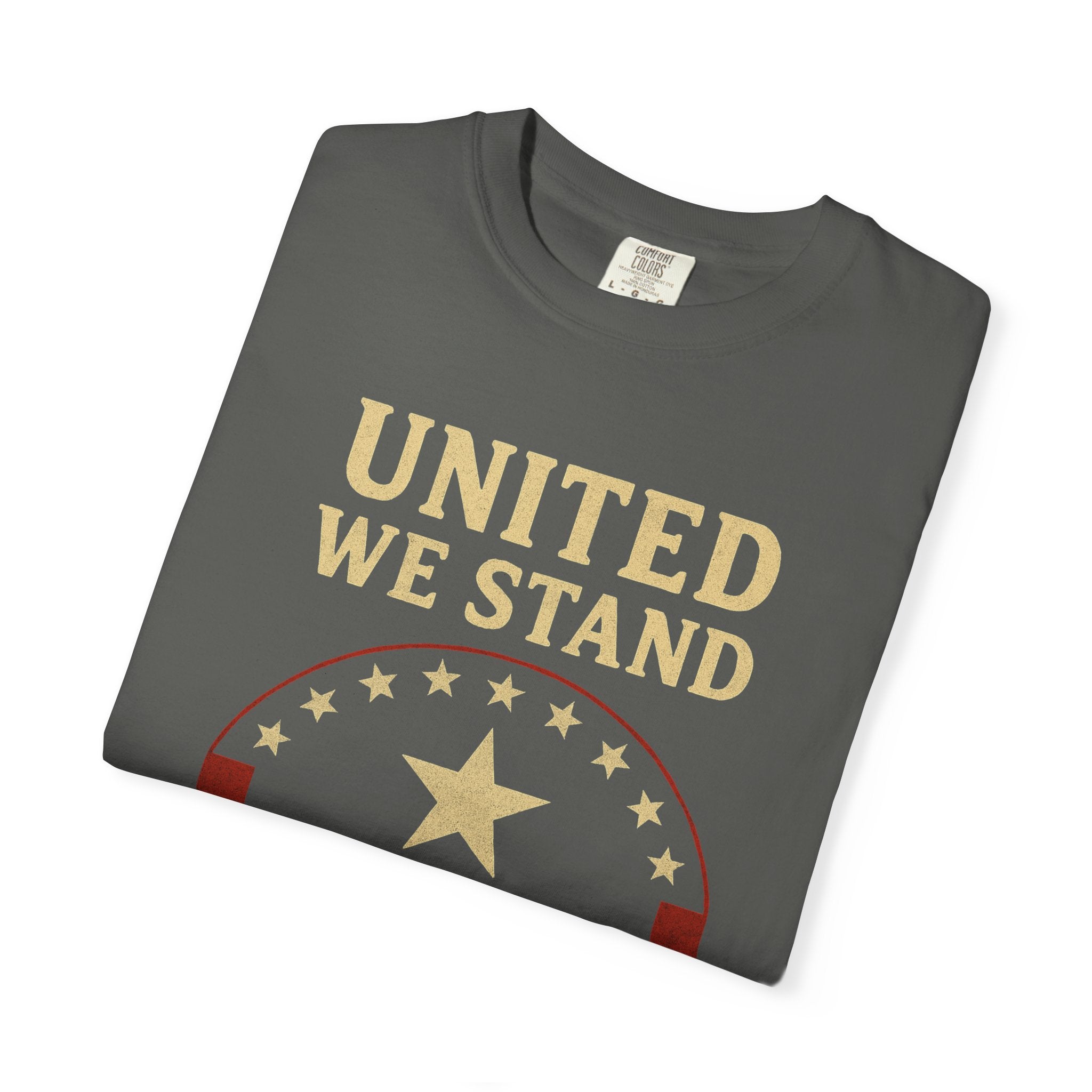 "Divided We Fall" Unisex Garment-Dyed T-shirt