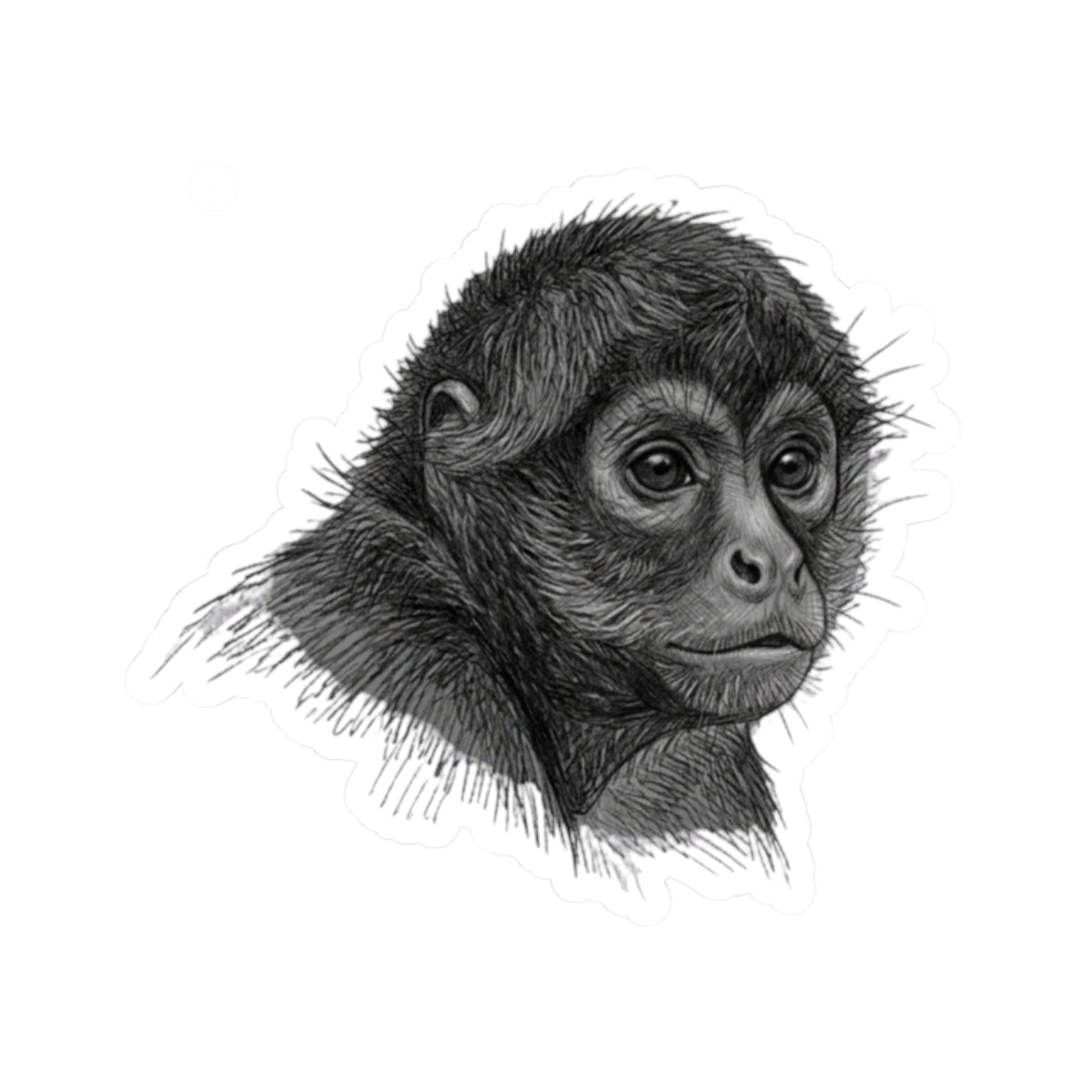 "Pencil Sketch Art Spider Monkey" Sticker