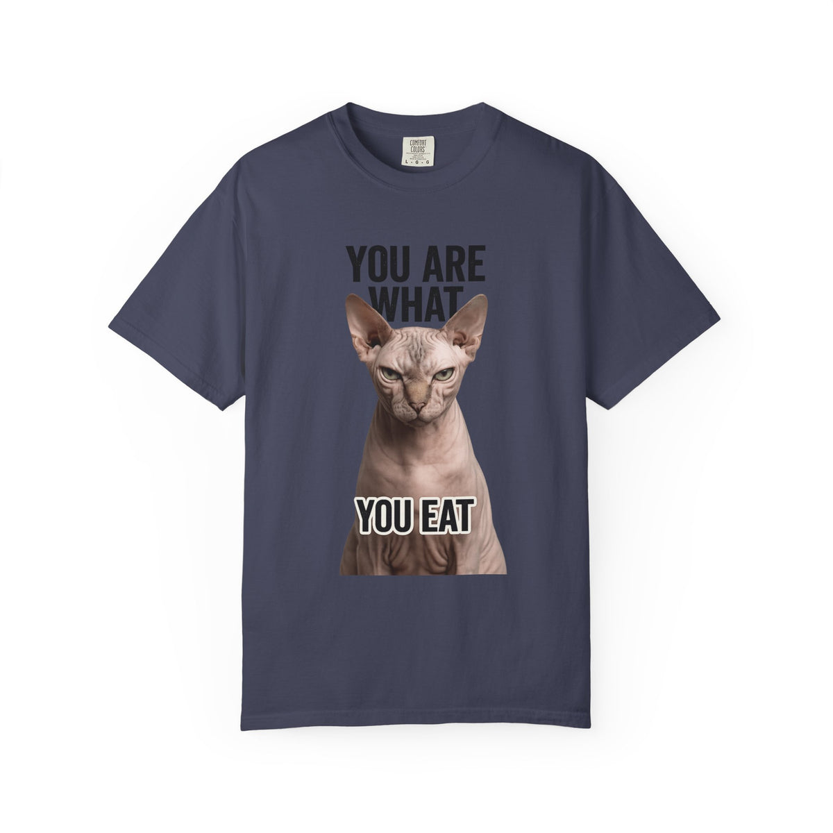 Color: Denim | You Are What You Eat - Cat 1 Unisex Garment-Dyed T-shirt