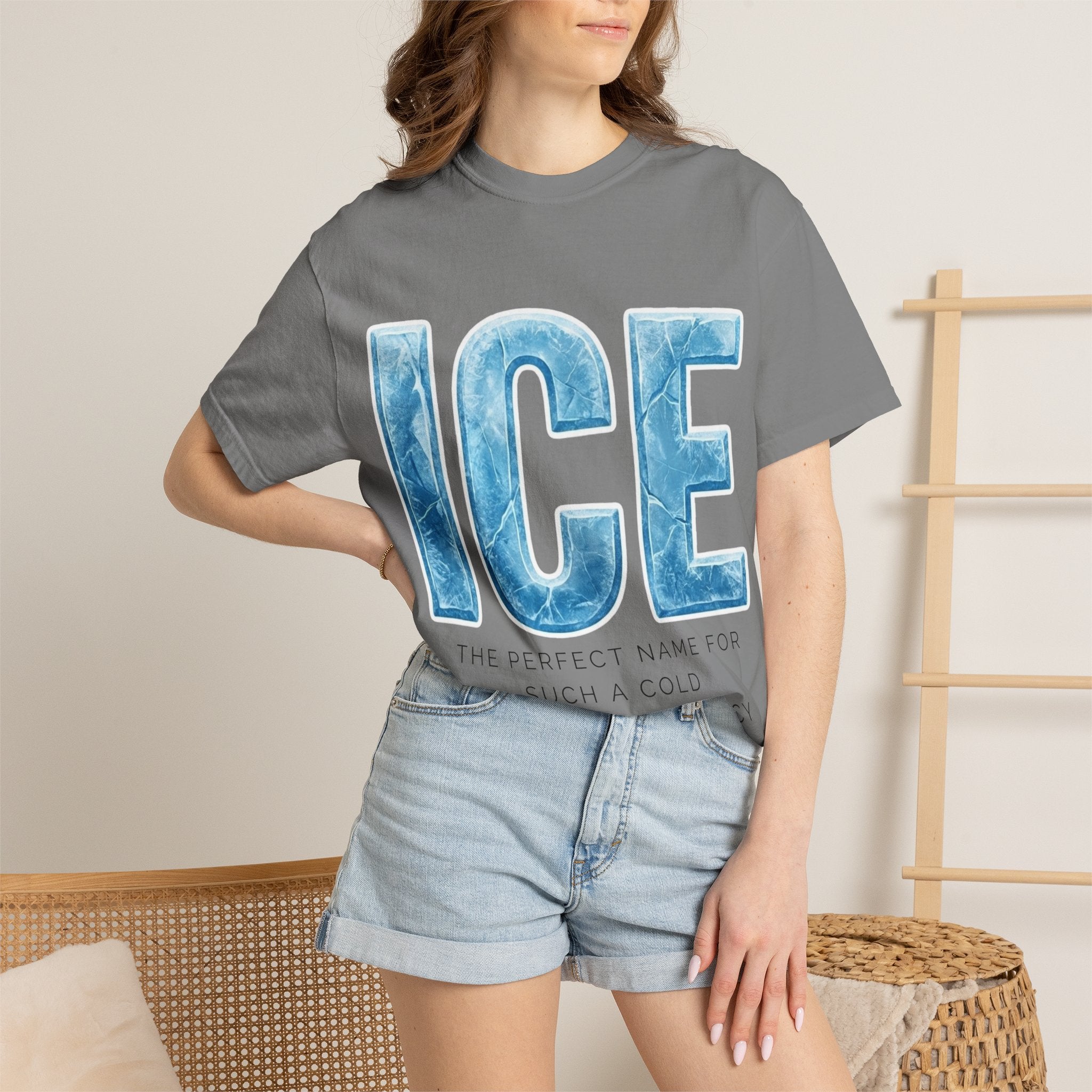 "ICE Cold Government" Unisex Garment-Dyed T-shirt