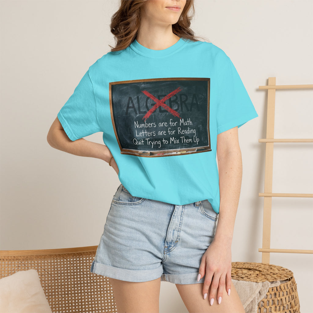 "Algebra" Unisex Garment-Dyed Tee
