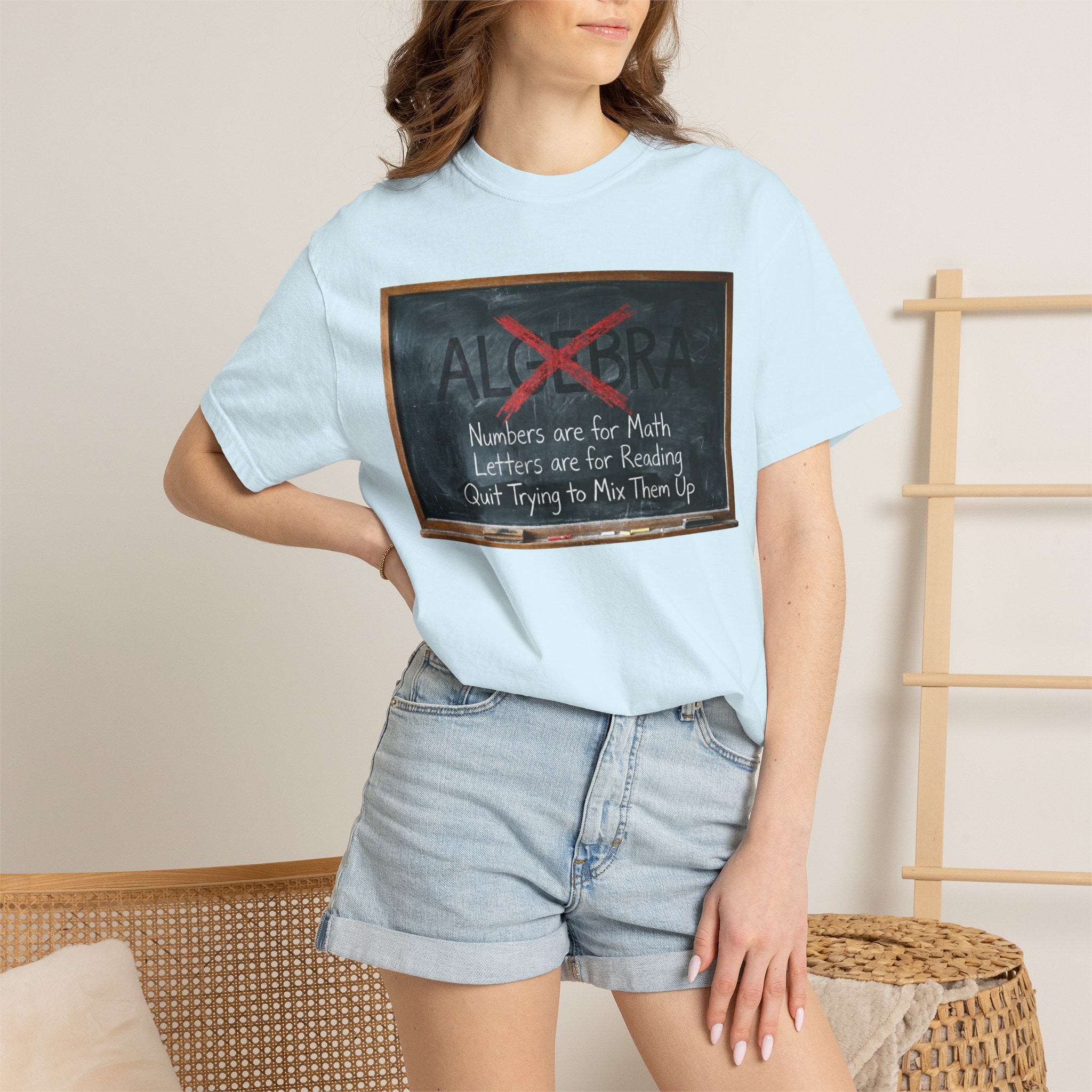 "Algebra" Unisex Garment-Dyed Tee