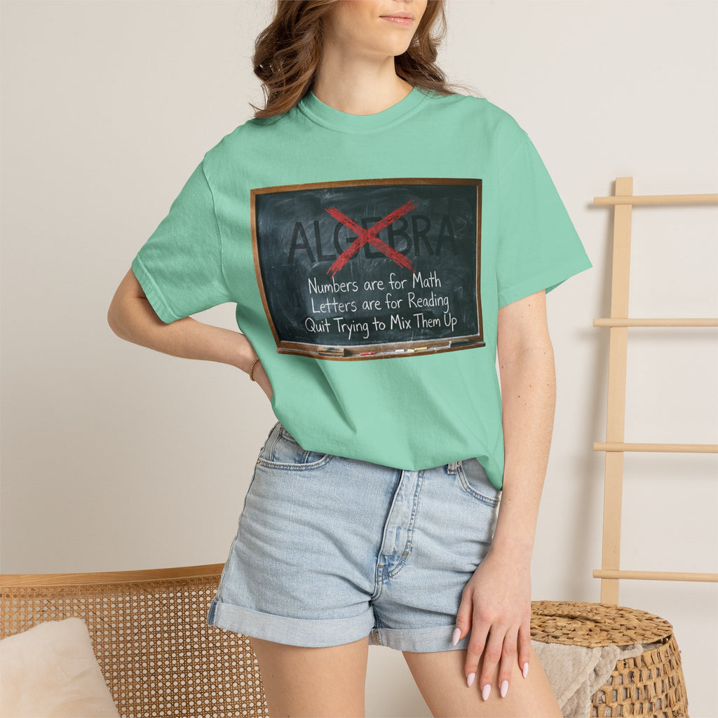 "Algebra" Unisex Garment-Dyed Tee