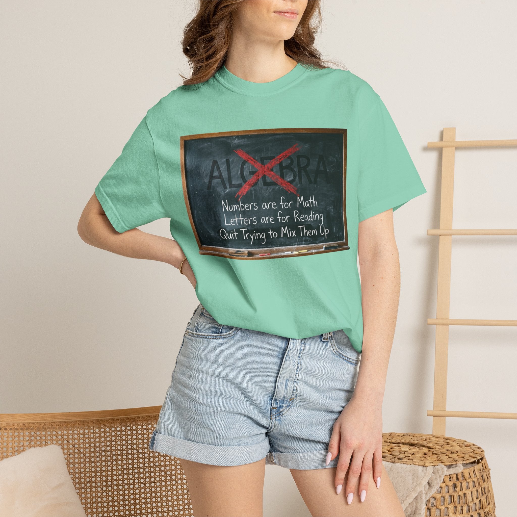"Algebra" Unisex Garment-Dyed Tee