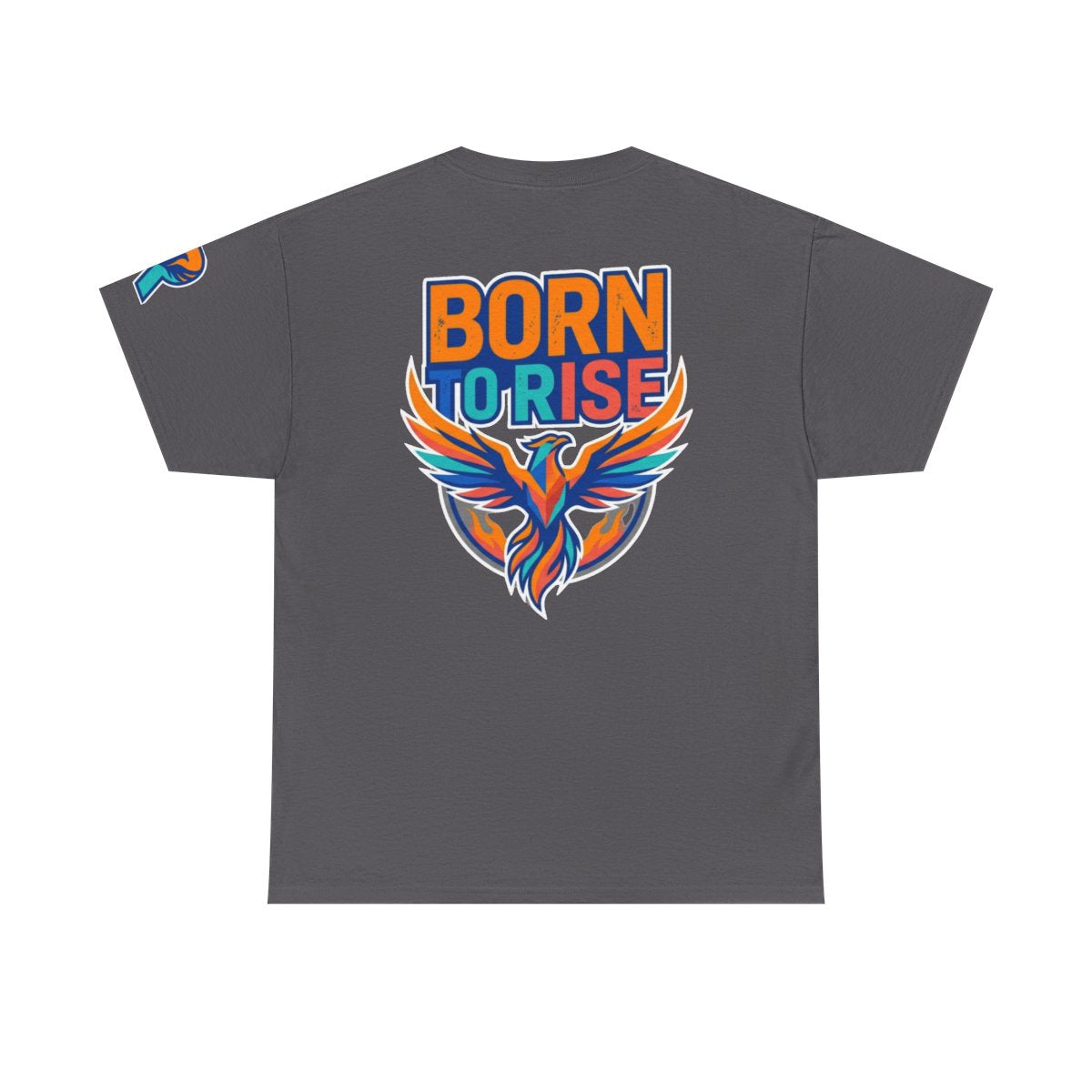 Color: Charcoal | Born to Rise Premium Graphic Tee