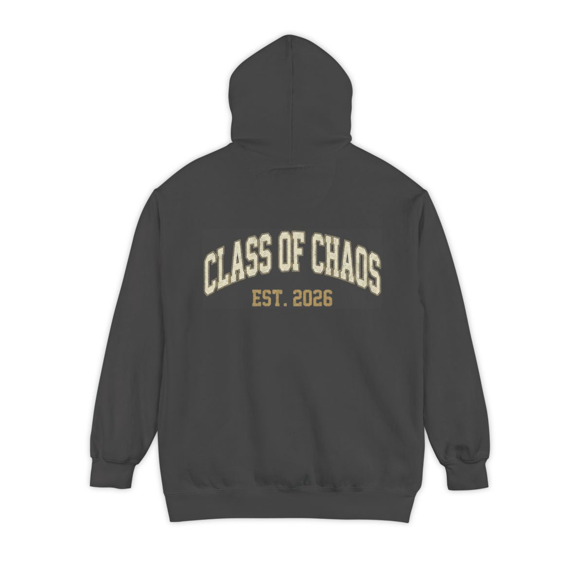 Color: Pepper | Class of Chaos Garment-Dyed Hoodie