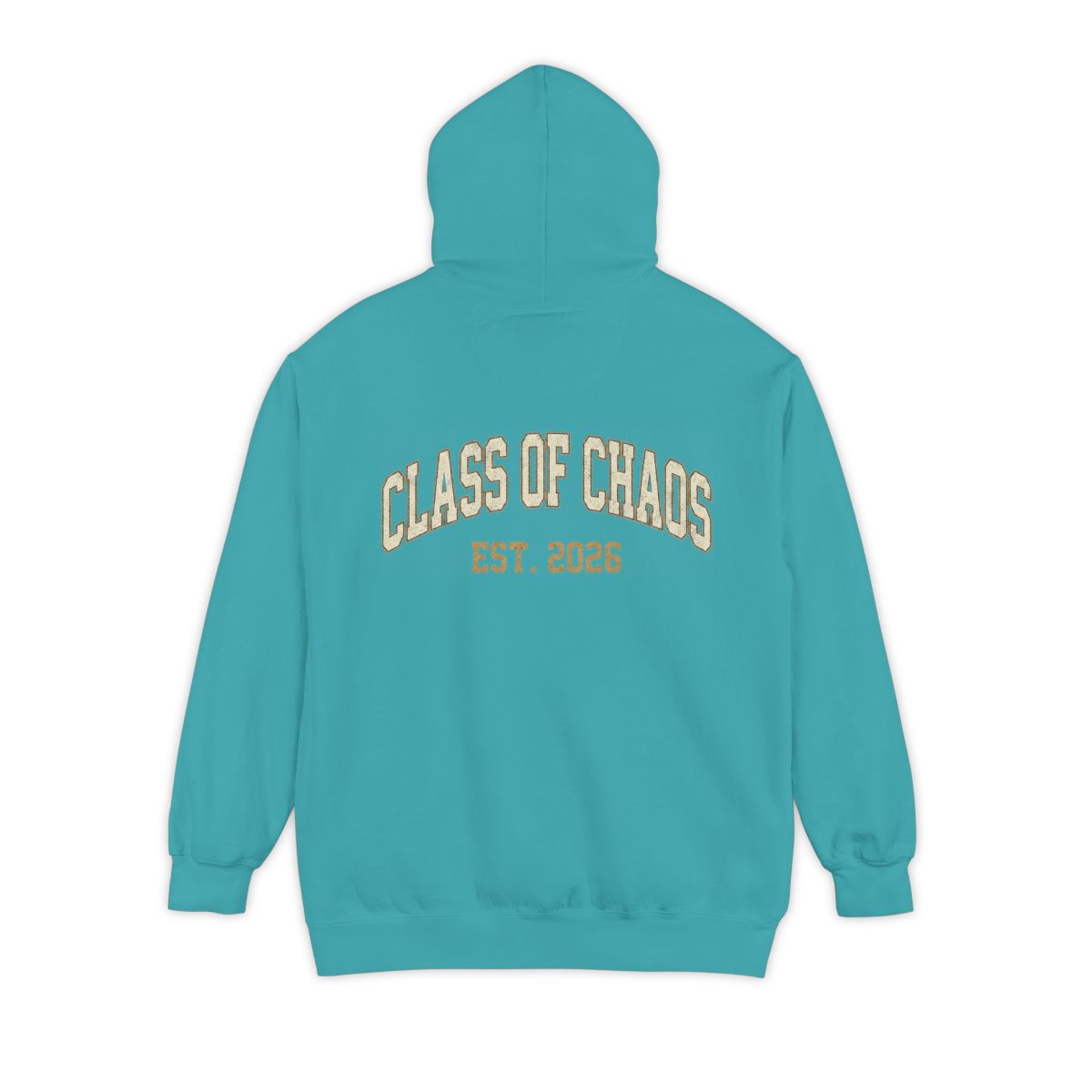 Color: Seafoam | Class of Chaos Garment-Dyed Hoodie