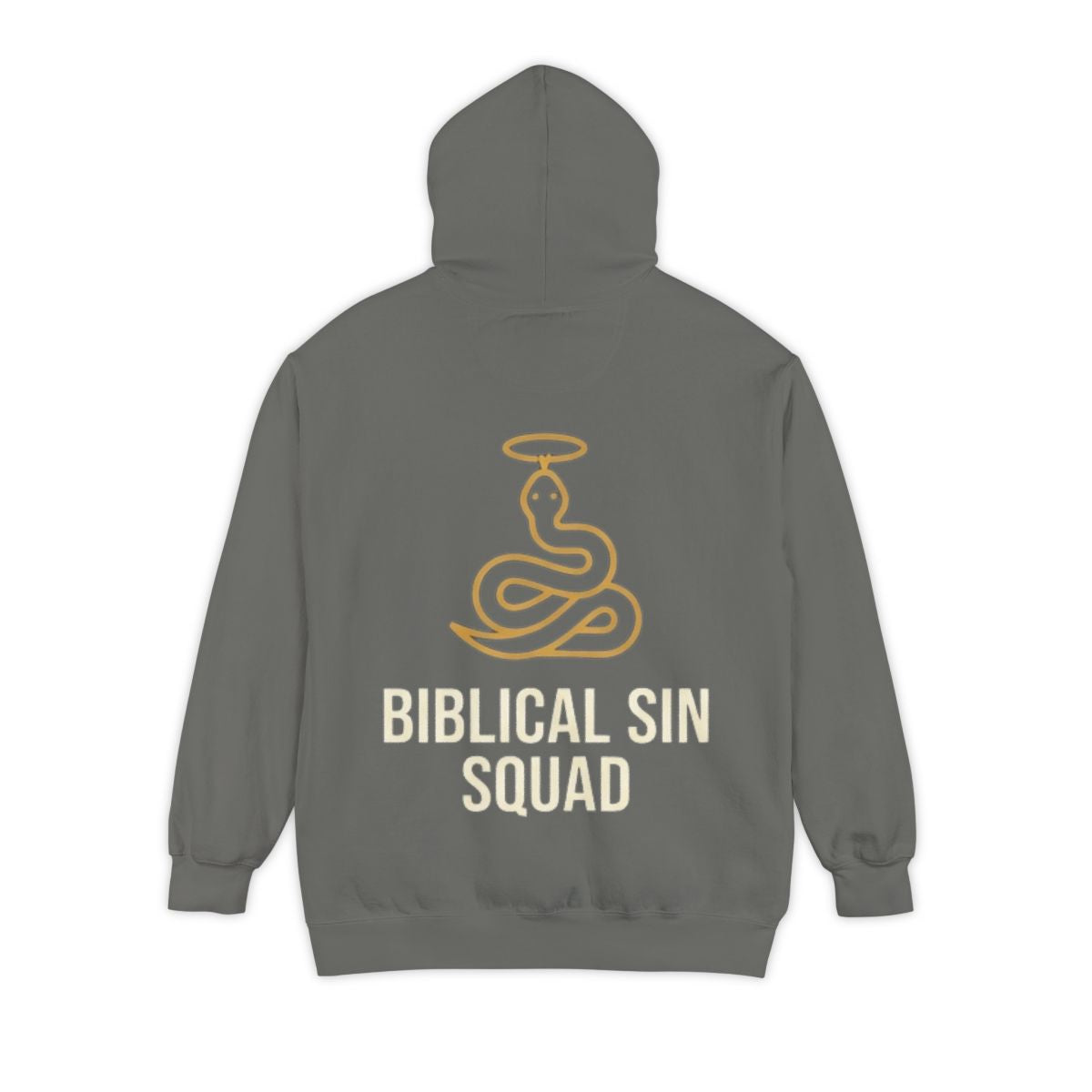Color: Grey | Good Book Series Biblical Sin Squad Garment-Dyed Hoodie
