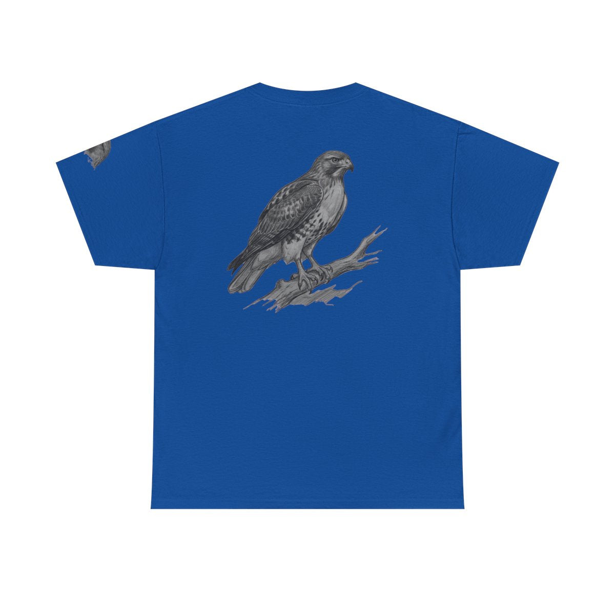 Color: Royal | Pencil Sketch Art Red-Tailed Hawk Premium Graphic Tee