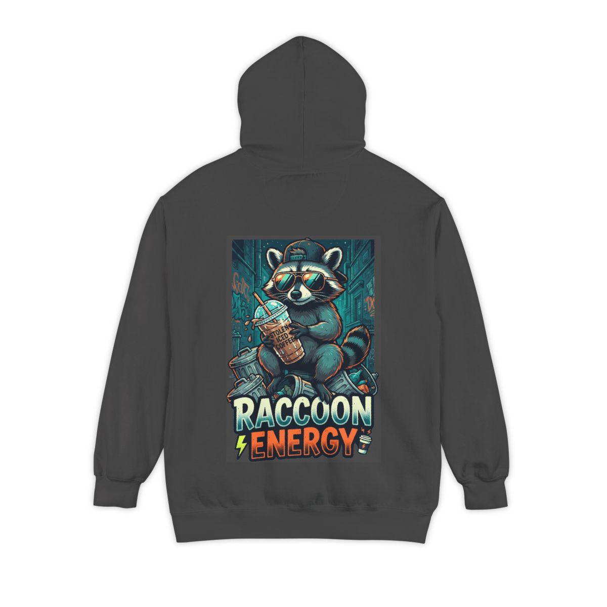 Color: Pepper | Raccoon Energy Garment-Dyed Hoodie