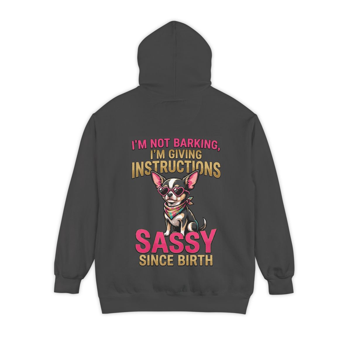 Color: Pepper | Sassy Since Birth Garment-Dyed Hoodie