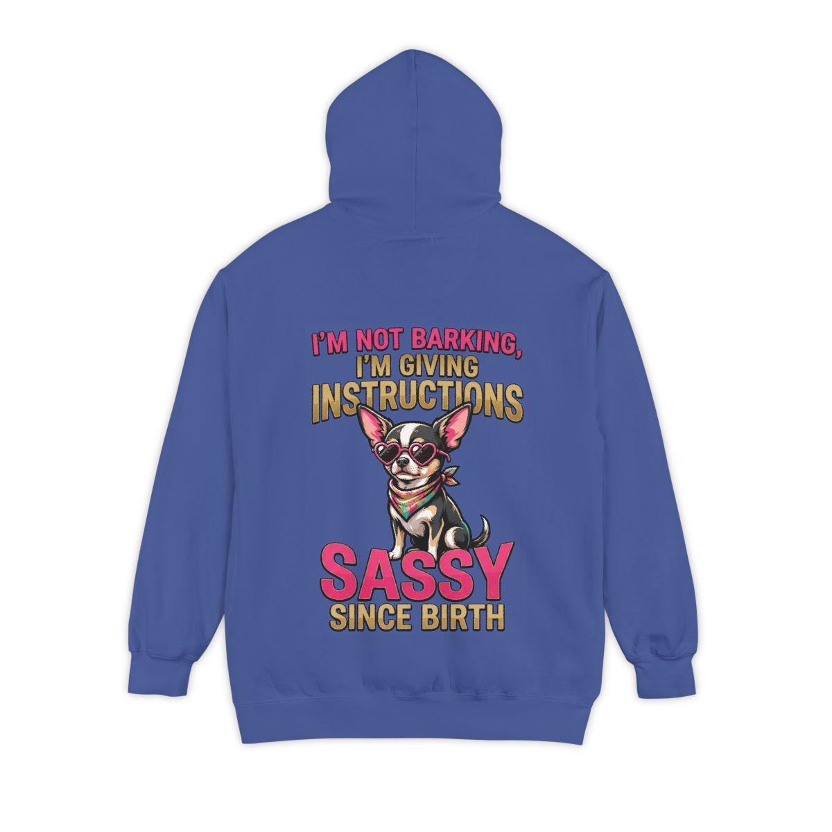 Color: Flo Blue | Sassy Since Birth Garment-Dyed Hoodie