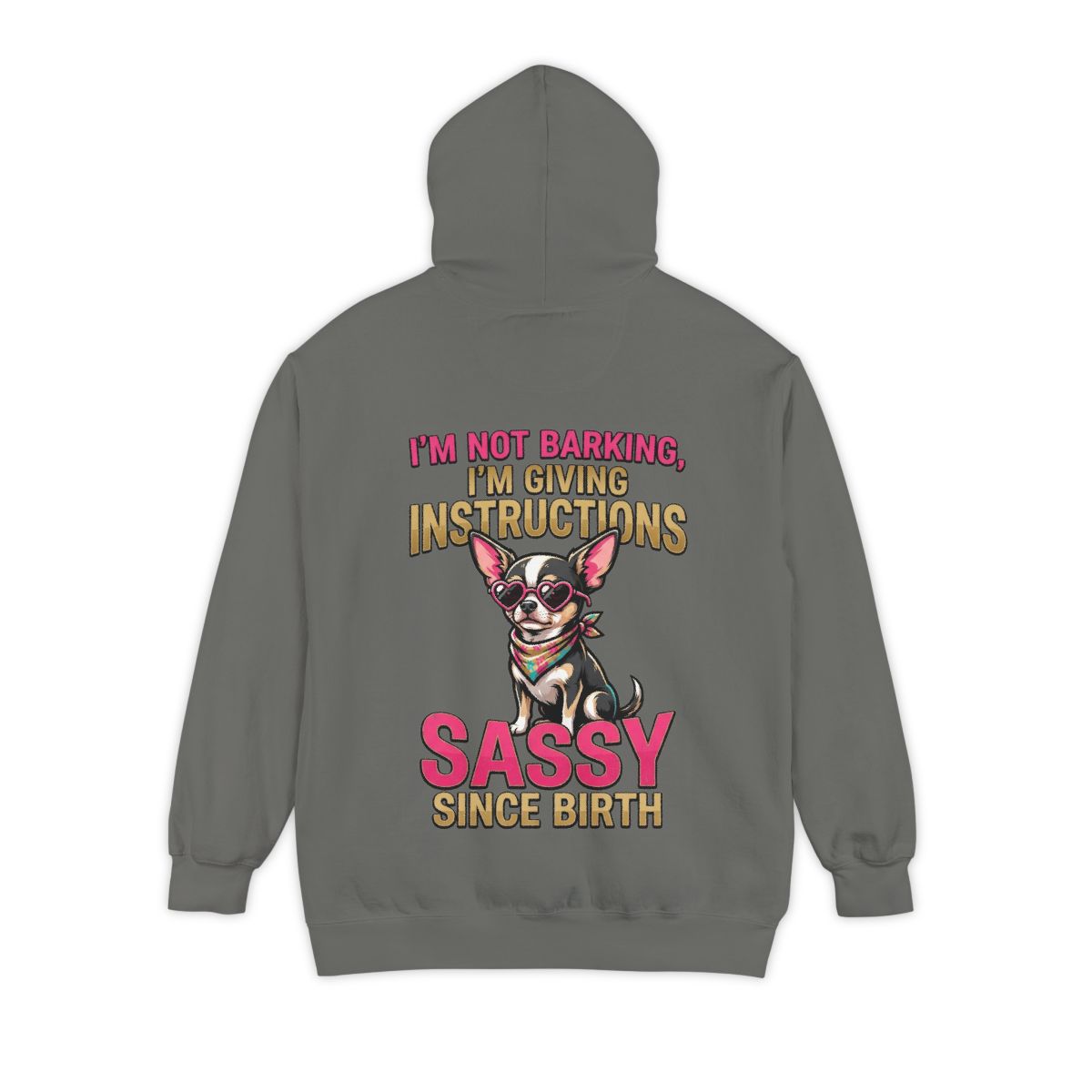 Color: Grey | Sassy Since Birth Garment-Dyed Hoodie