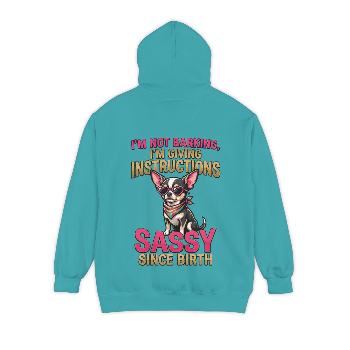 Color: Seafoam | Sassy Since Birth Garment-Dyed Hoodie