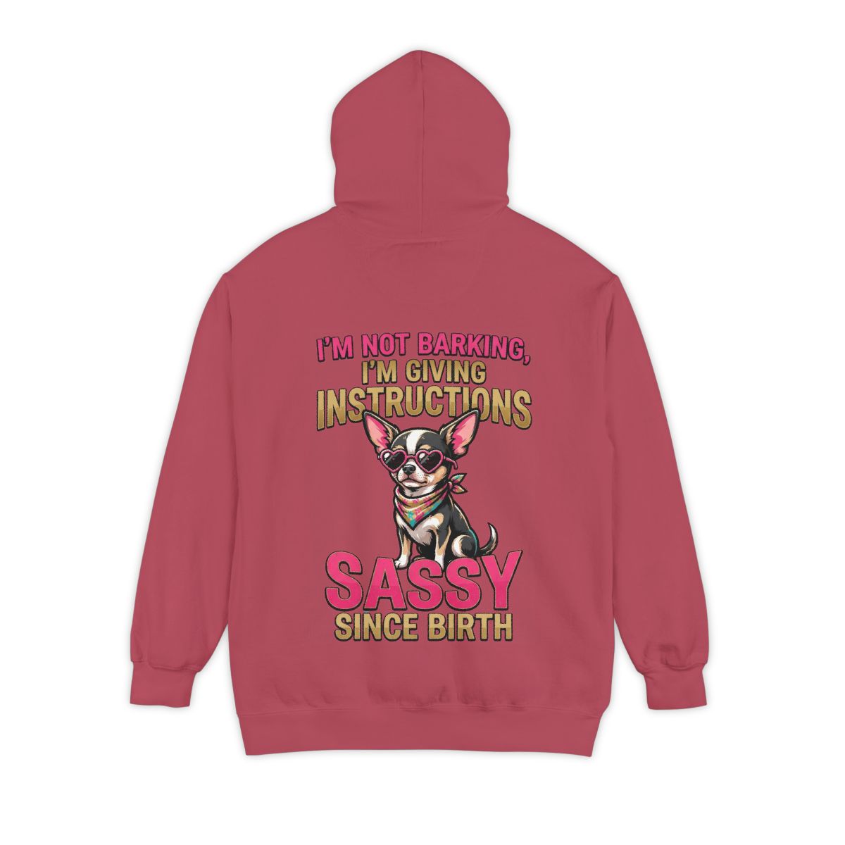 Color: Crimson | Sassy Since Birth Garment-Dyed Hoodie