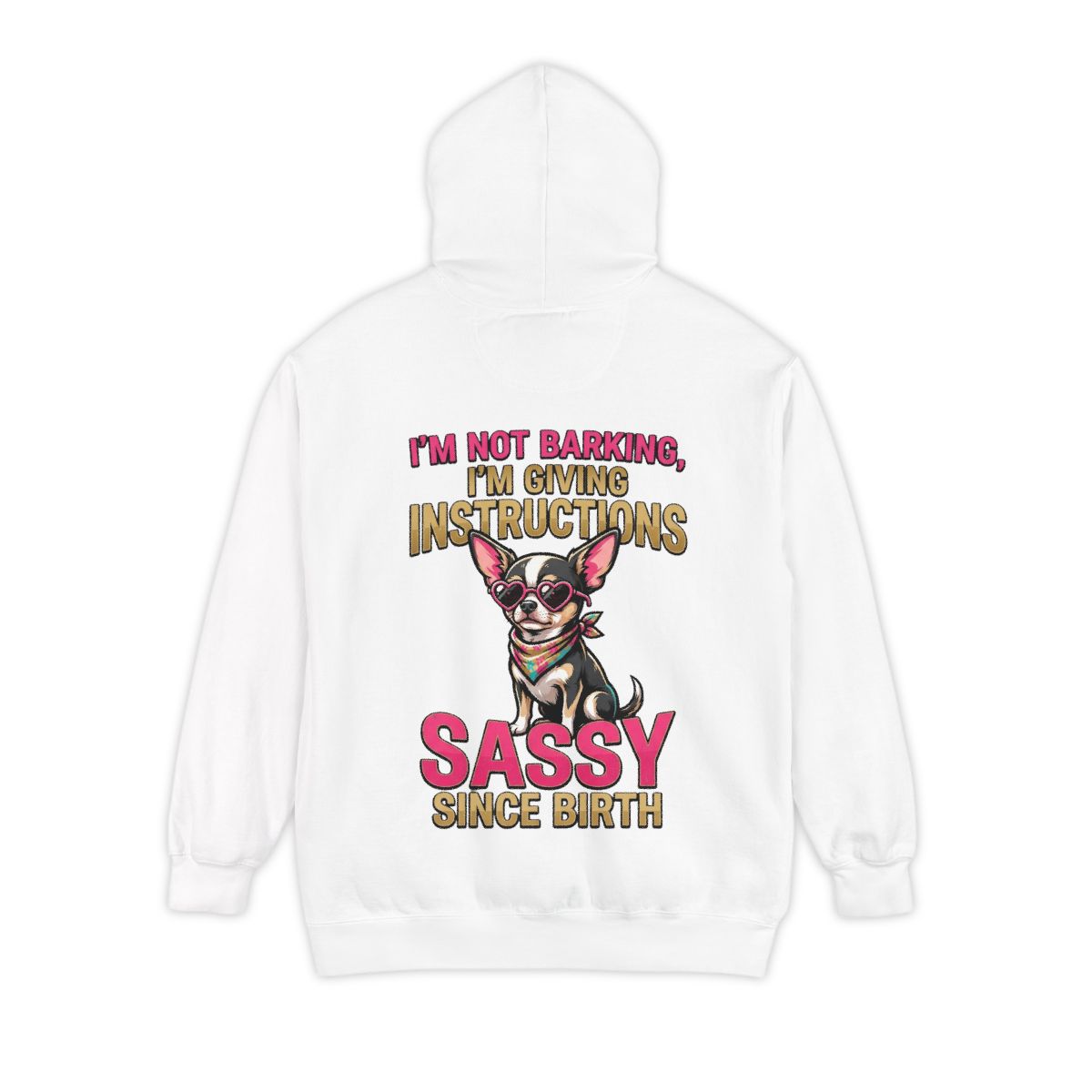 Color: White | Sassy Since Birth Garment-Dyed Hoodie