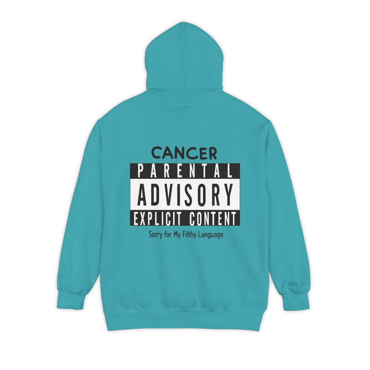 Color: Seafoam | Sorry For My Filthy Language Garment-Dyed Hoodie